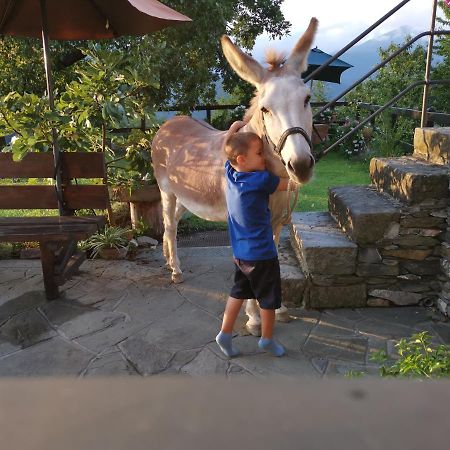 Elsa House Bed & Breakfast Mezzanego Dış mekan fotoğraf