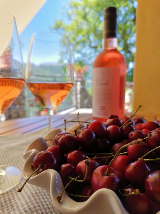 Elsa House Bed & Breakfast Mezzanego Dış mekan fotoğraf