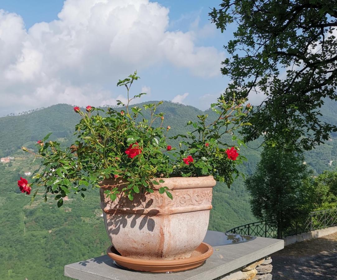 Elsa House Bed & Breakfast Mezzanego Dış mekan fotoğraf