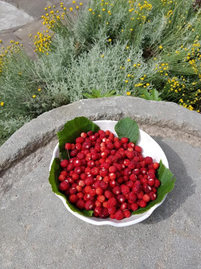 Elsa House Bed & Breakfast Mezzanego Dış mekan fotoğraf
