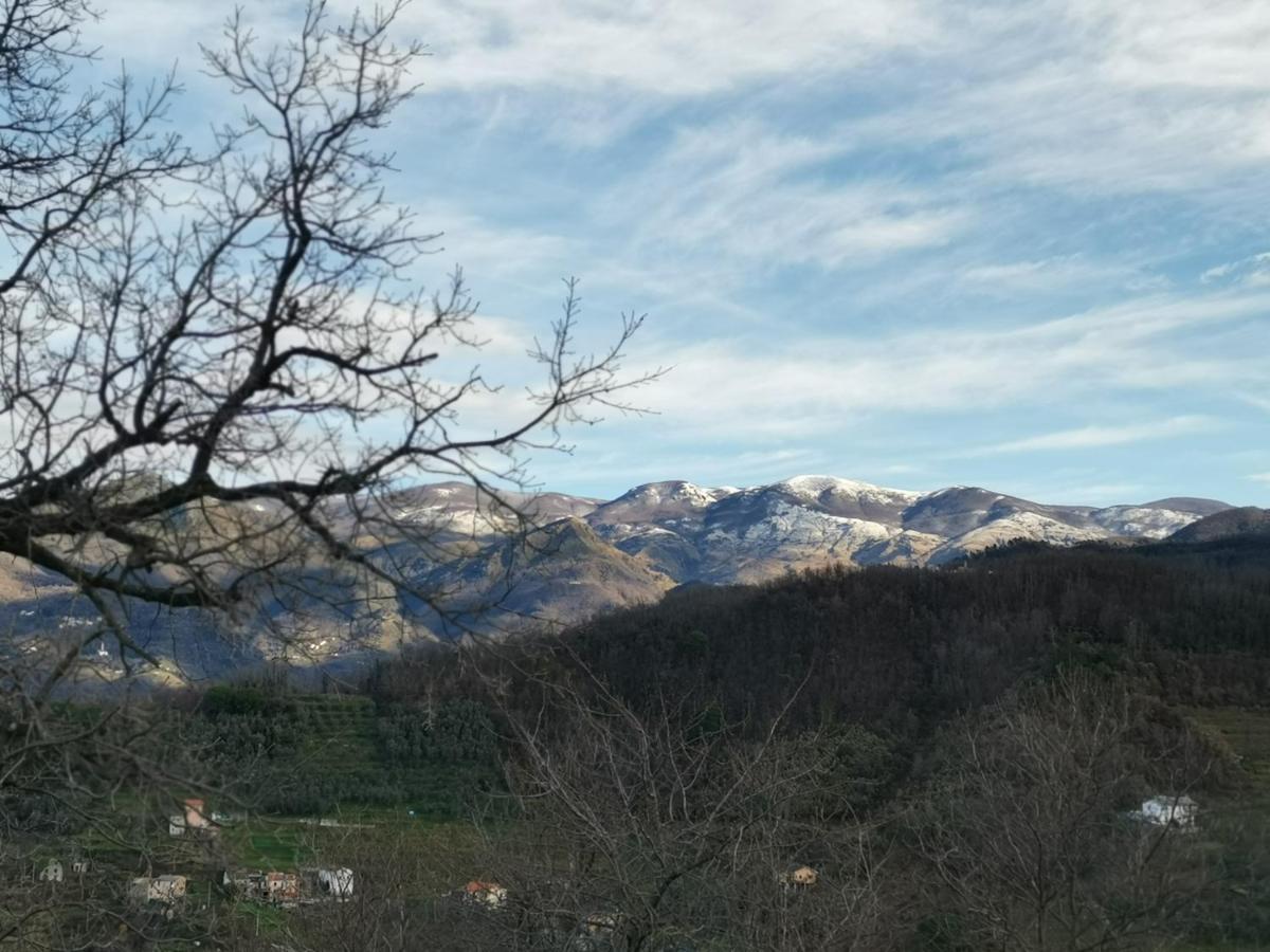 Elsa House Bed & Breakfast Mezzanego Dış mekan fotoğraf