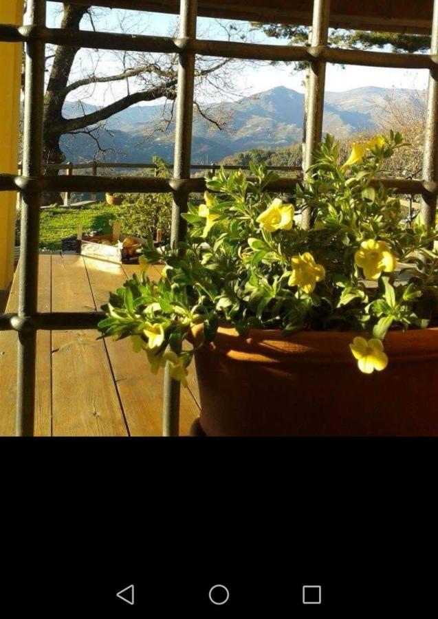 Elsa House Bed & Breakfast Mezzanego Dış mekan fotoğraf