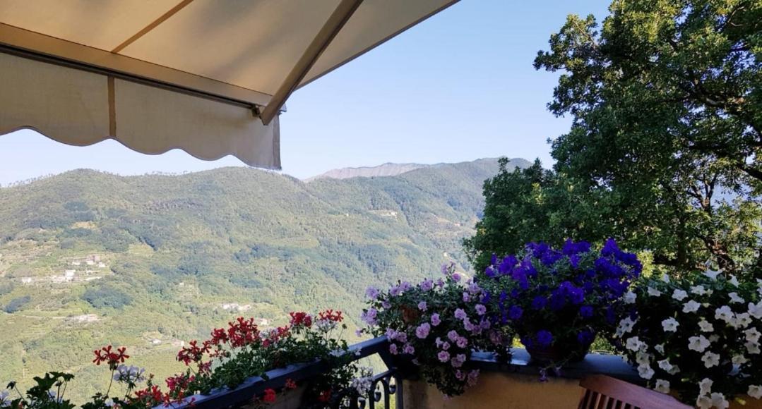 Elsa House Bed & Breakfast Mezzanego Dış mekan fotoğraf