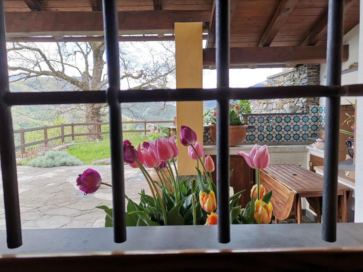 Elsa House Bed & Breakfast Mezzanego Dış mekan fotoğraf