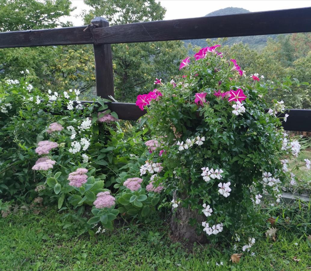 Elsa House Bed & Breakfast Mezzanego Dış mekan fotoğraf