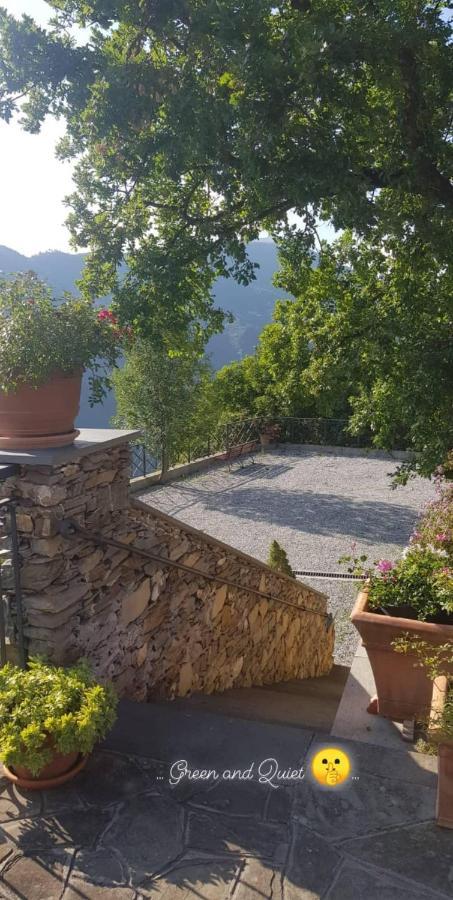 Elsa House Bed & Breakfast Mezzanego Dış mekan fotoğraf