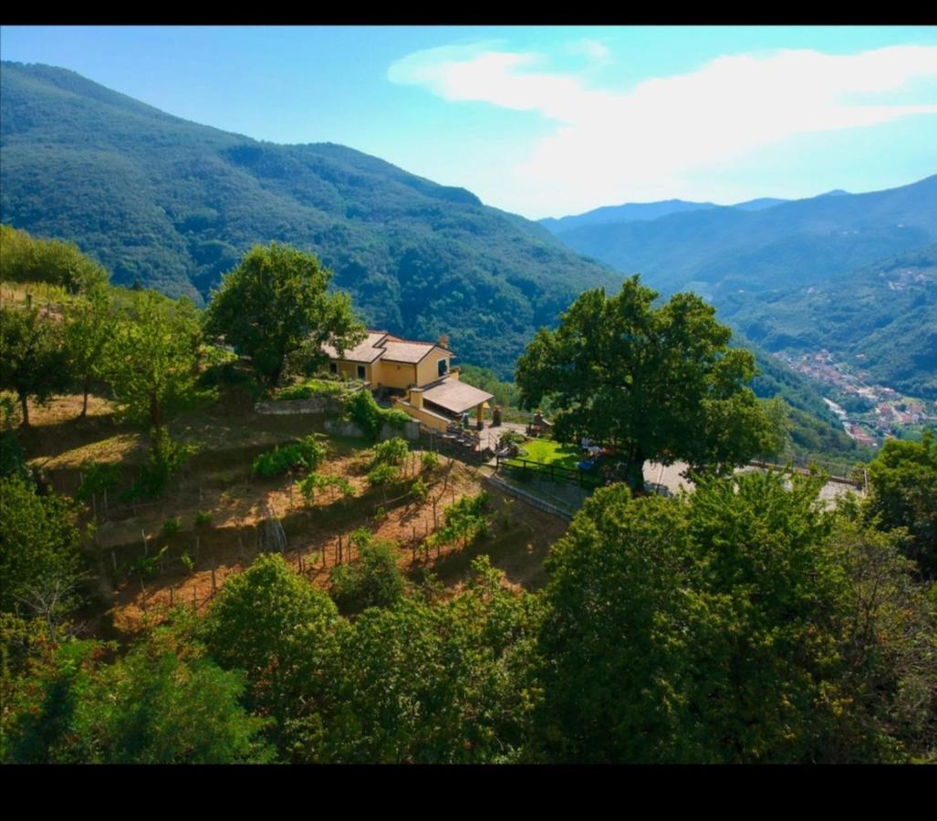 Elsa House Bed & Breakfast Mezzanego Dış mekan fotoğraf