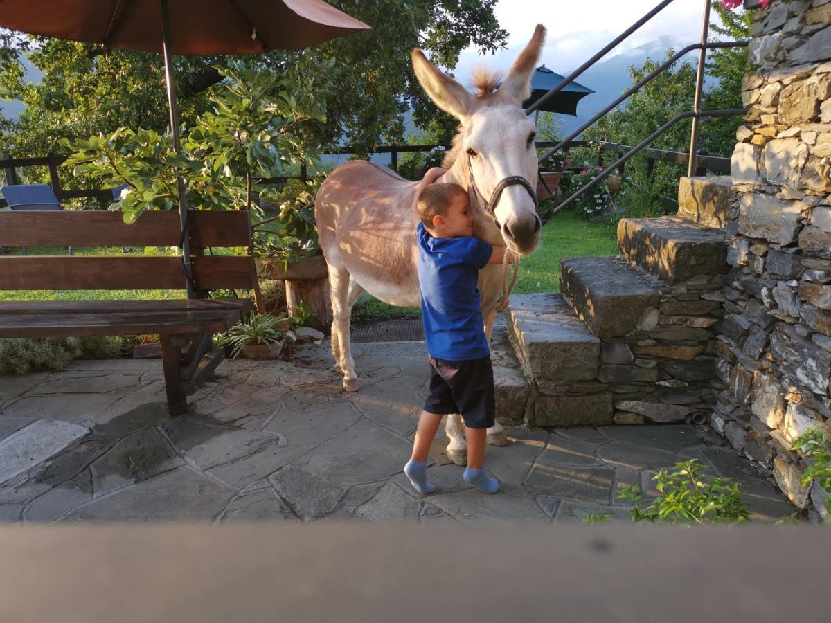 Elsa House Bed & Breakfast Mezzanego Dış mekan fotoğraf